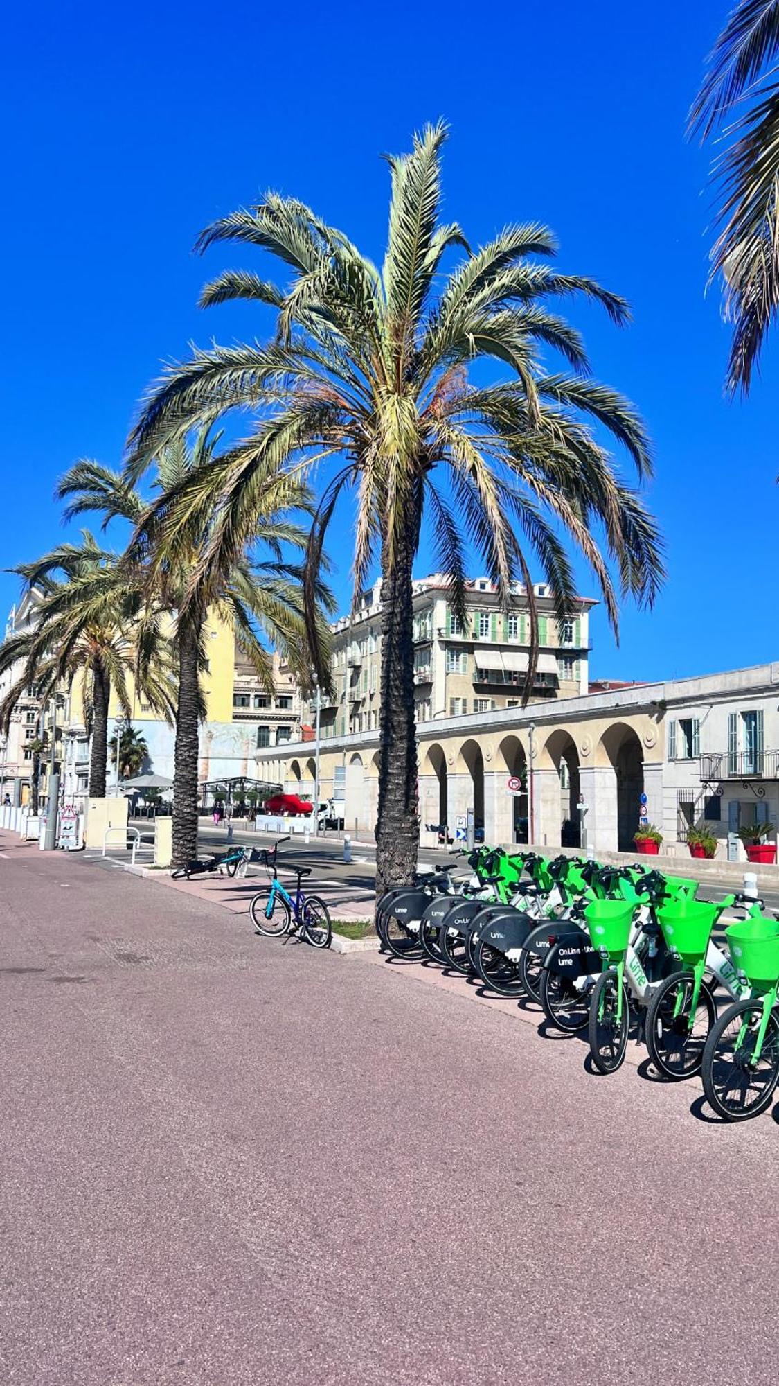 Le Primerose Cosy & Grand Terrasse